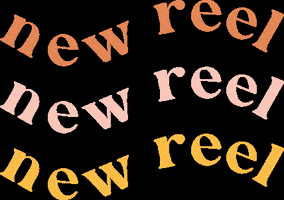 GIF by Pip and Willow