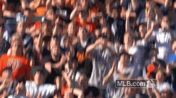 fan catch GIF by MLB
