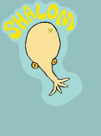 Squid Shalom