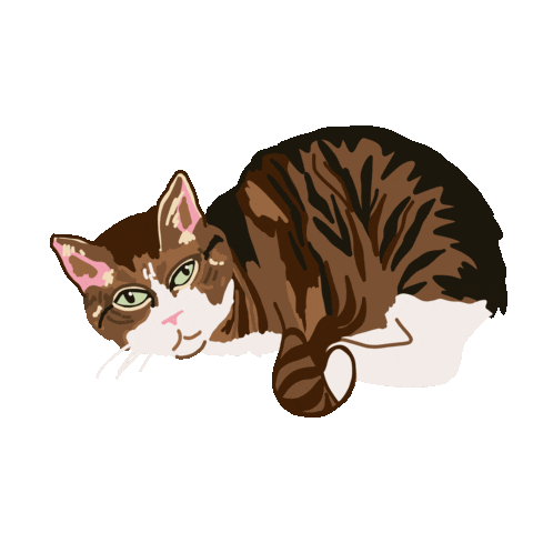 Sleepy Tabby Cat Sticker