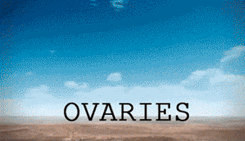 ovaries explode GIF