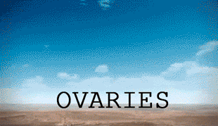 Risultato immagini per ovaries gif