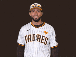 Well Done Yes GIF by MLB