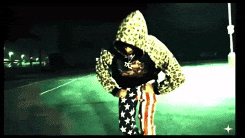 Music Video Cheetah GIF