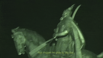 Skanderbeg GIF by GRMV