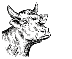 Schnauze & Co. Sticker