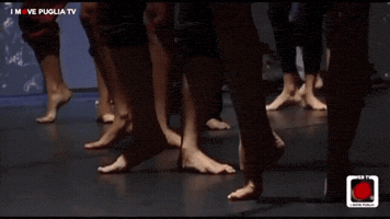 antonioverardi  GIF
