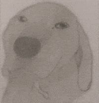 Dog GIF