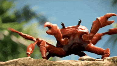 Crab's meme gif