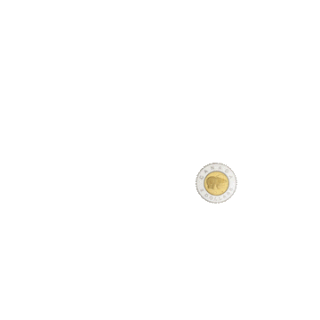 Toonie Sticker by CGP Spotlight