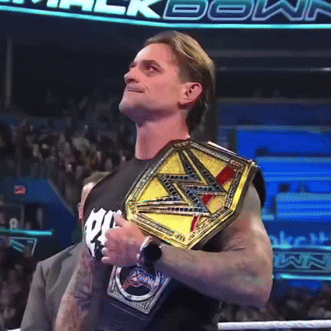 Cm Punk Wwe GIF