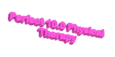 Perfect 10.0 Physical Therapy Sticker