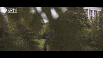 Support Student GIF by The University of Bath