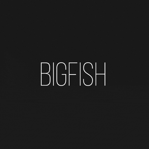BigFishMena fish big bigfish bigfishmena GIF