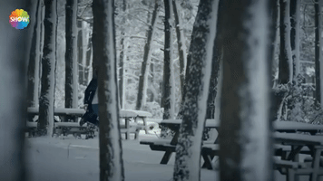 Snow Running GIF by Show TV