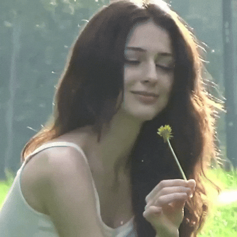 Sunny Day Flower GIF
