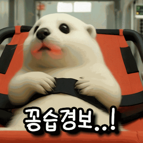 수달 GIF