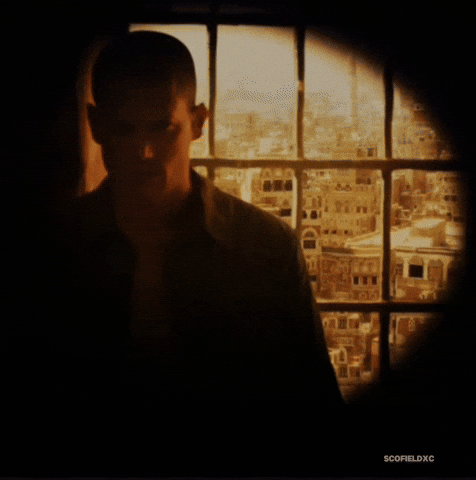 Scofieldxc GIF