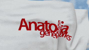 anatoliagif GIF