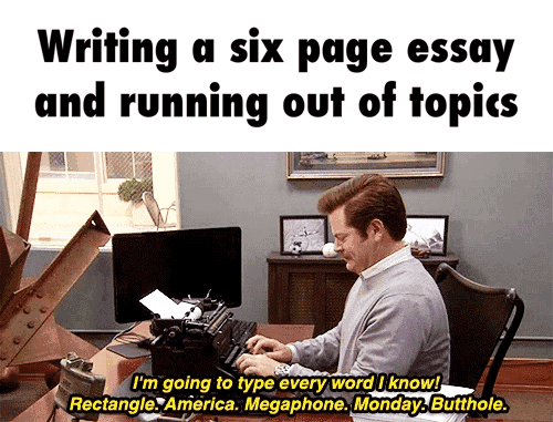 essay
