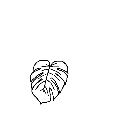 Monstera Deliciosa Plant Sticker