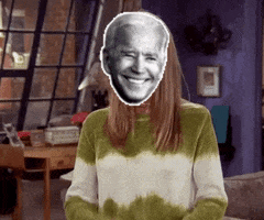 Joe Biden GIF