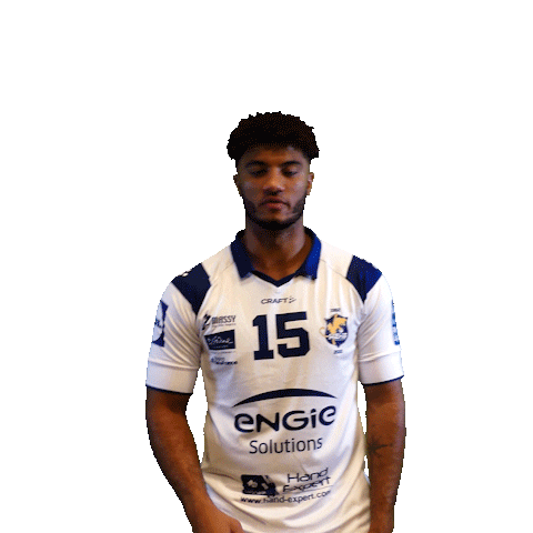 Sport Celebration Sticker by Massy Essonne Handball