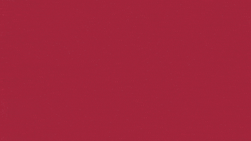 Charroslmb2025 GIF by Charros de Jalisco