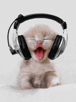 200.gif