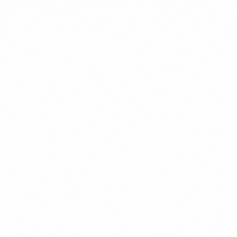 LedMansion GIF
