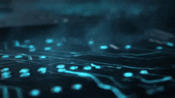 GIF by notgpt