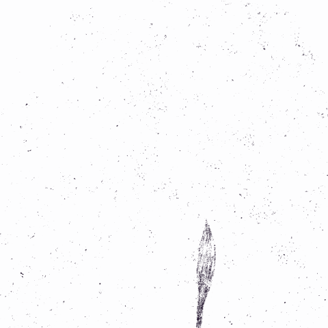 Grow Black White GIF by Friederike Olsson - Illustration