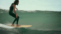 wave surf GIF
