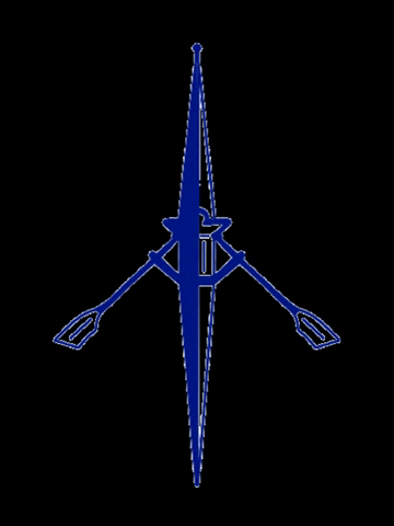 OneWorld Rowing GIF