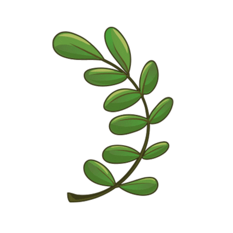 Noah's VRK Sticker