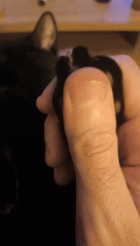 Animated GIF