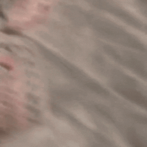 Shocked Big Eyes GIF