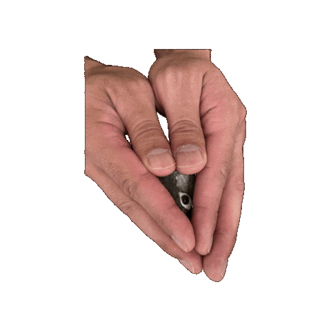 Potato Parrot Sticker