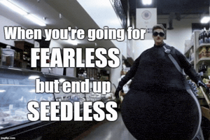 The Flash Cw GIF