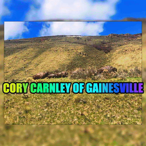 Cory Carnley Of Gainesville GIF