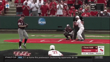 strike out college baseball GIF by Texas A&M University