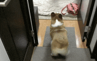 Excited Weekend GIF