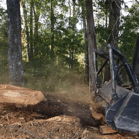 gyrotrac forestry mulch mulcher gyrotrac GIF