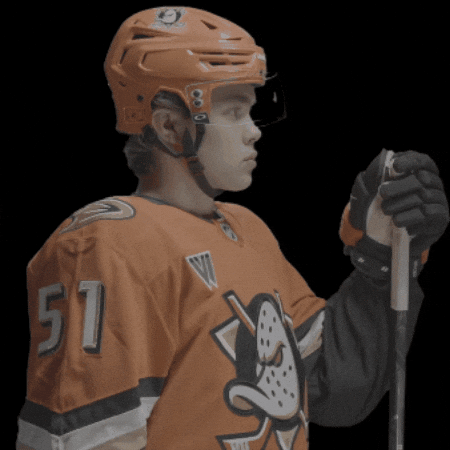 Olen Zellweger GIF by Anaheim Ducks