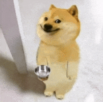 Dog Food GIF