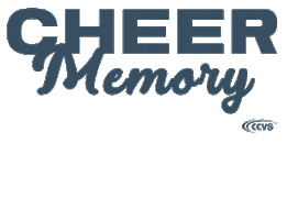 Cheer Cheerleading Sticker by Cheersportsachsen
