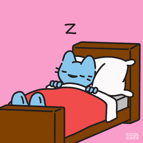 Night Night Sleep GIF by Cool Cats