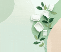 Biodegradable Plastic Container GIF