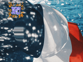 200.gif?cid=fc005b08ec869d17a01fb9e7ebf5654afa2228742719d55a&rid=200.gif&ct=g
