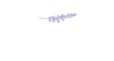 Logo Sticker